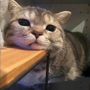 Meet your Posher, Aimee